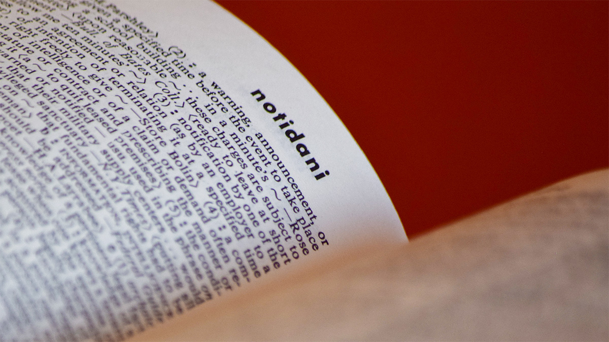 A page of text in a dictionary.